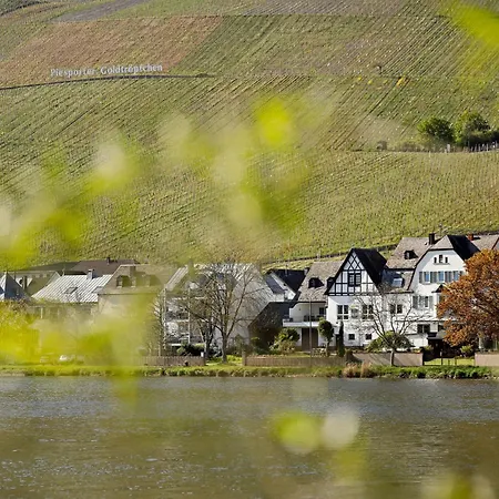 Moselgarten - Ueberschwang Apartamento