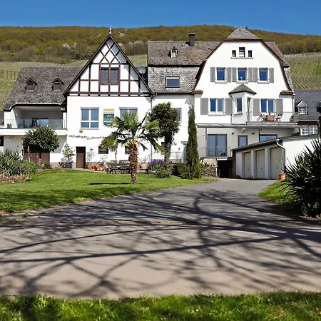 Moselgarten - überschwang Apartamento Piesport