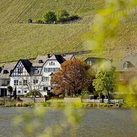 Apartamento Moselgarten - überschwang *