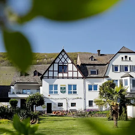 Moselgarten - überschwang Piesport